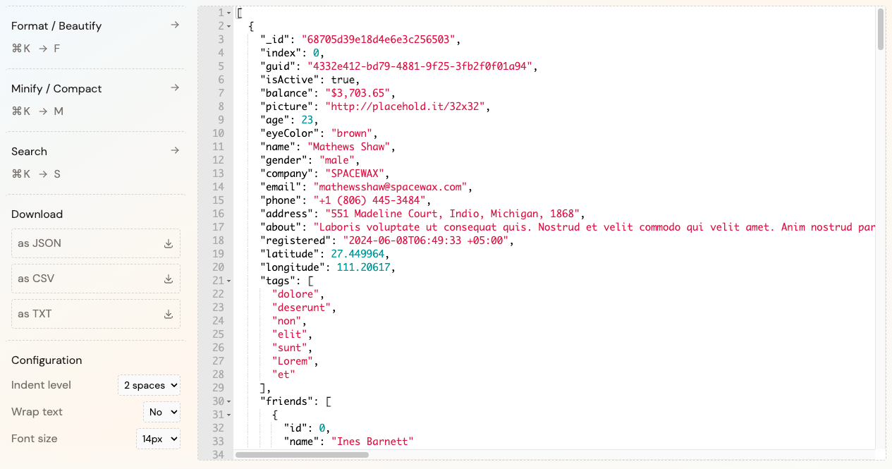 JSON Formatter